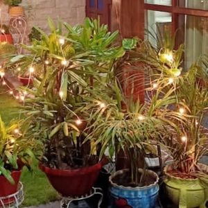 Meet your Posher, Kuber